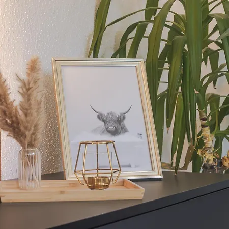 Apartment Sonneck